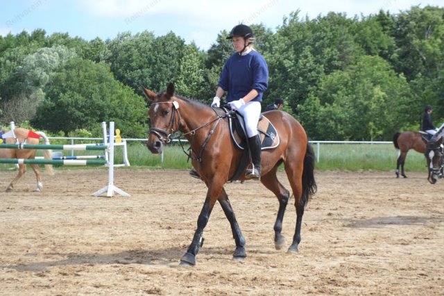 reitertag 2013 19